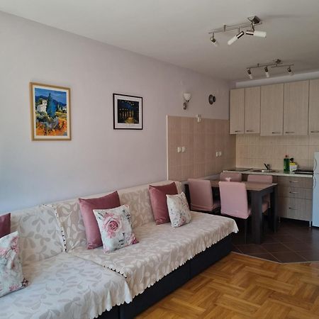 Studio Apartman Zvezdana Noc Врнячка-Баня Екстер'єр фото