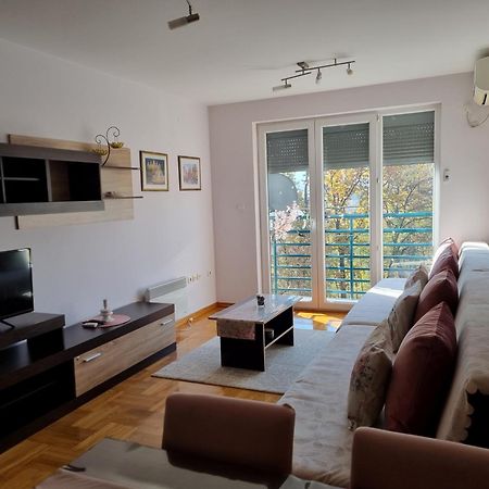 Studio Apartman Zvezdana Noc Врнячка-Баня Екстер'єр фото